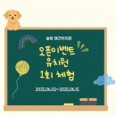초롱유치원 | [제주놀멍애견유치원] 시원한 실내유치원 열심히 뛰뛰🐾