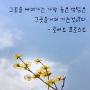 좋은문구 이미지