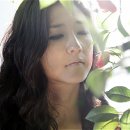 동백아가씨 이미지