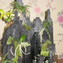 민호카센타 이미지