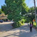 율곡식당 이미지