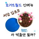 신기동78 | 저당 딥초코&#39; 사먹을만 할까? ㅣ 먹기전에 꼭 보면 좋을 내돈내산 후기 ㅣ 저당요거트 ㅣ 저당요거트칼로리