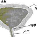 해피비뇨의학과의원 이미지