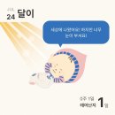 SP-5B08 | 👼🏻 B 08 # 출산 / 강북삼성병원 이교원 교수님 제왕절개 3일차 - 수술 2일차