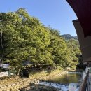 지형이네 능이 닭 백숙 | 공주 동학사 맛집 서울식당 계곡 옆 닭능이백숙 후기