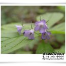 본디올대치한의원 이미지