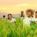 조국의 미래 청년의 이미지