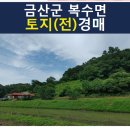 복수초등학교용진분교장 | 토지(전)경매] 2023타경 5304충청남도 금산군 복수면 용진리 경매