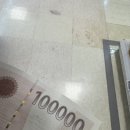 전생 허스키 현생 나태왕