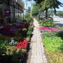 상일초교버스 정류장 이미지