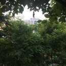 다사랑약국앞 이미지