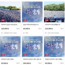 1만7000원→24만원…연세대 축제 '아카라카' 암표 극성 이미지