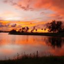 본골프센터 이미지