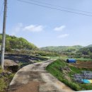 수양1농로 이미지