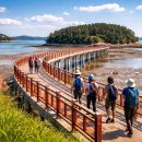 무안황토갯벌랜드(제1주차장) | 무안황토갯벌랜드 (바다탐방다리, 물때확인, 트레킹코스)