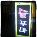술푸마 이미지