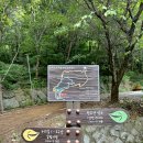달천계곡 상류 이미지