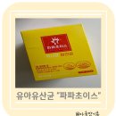 유아유산균 &lt;파파초이스&gt; 장건강 지킴이