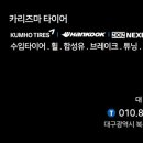 카리즈마 타이어 이미지