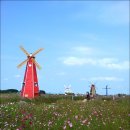 대부바다향기 테마파크 이미지