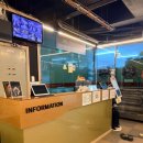 신촌4로 | 신방동복싱 다이어트부터 취미까지 가능한 체험 후기