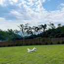 제이펜션 이미지