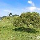 자연속의 휴식공간 중앙이코노미뉴스