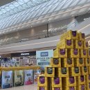 나투어리베 | 🐶 하남 스타필드 반려동물 팝업스토어 후기나투어리베 강아지 사료 팝업 다녀왔어요! #강아지팝업 #사료...