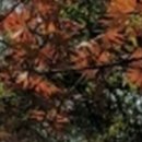 변호사박인욱법률사무소 이미지