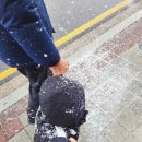 정읍이비인후과의원 이미지