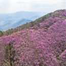 소답동159 이미지