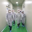 (주)오행생식