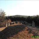 이유청 묘 이미지