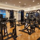 원스피티 이미지