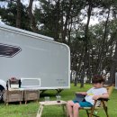 장항오토캠핑장 이미지