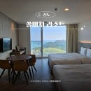 럭키당구장 | 진도 쏠비치 리조트 취사가능 예약 객실 어메니티 신비의 바닷길 후기