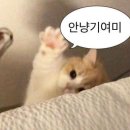 오월(5월) 1 이미지