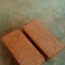 주식회사 필립바이오 이미지