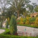 퍼스트가든(시선) 이미지