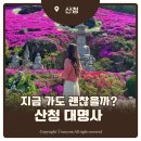 소림길 | 산청 대명사 꽃잔디 지금 가도 될까? 만개시기 주차 동선 정리