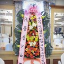 미남상조 이미지