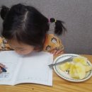 삼학사금강유치원 이미지