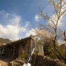 평사리상회 이미지