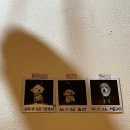 댕앗간 | [일상기록] 쉽게만 살아가면 재미없