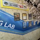 노블스위밍랩 이미지