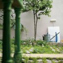 창동 가로수길 이미지