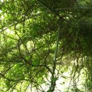 문겸농장 이미지