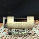 까치열쇠 이미지