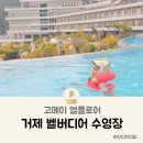 엘플로어 | 거제 벨버디어 수영장 11월 방문 고메이 엘플로어 후기