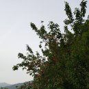 갯벌농장 이미지